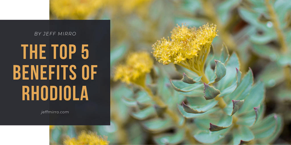 You are currently viewing Rhodiola – Top 5 Benefits